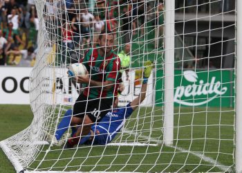 Daniele Vantaggiato raccoglie il pallone dalla rete della porta della Reggina dopo il gol di Salzano. Foto Alberto Mirimao da pagina fb Ternana Calcio
