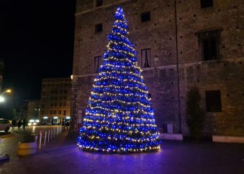 L'albero di Natale accesso in Piazza Europa
