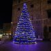 L'albero di Natale accesso in Piazza Europa