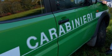 VARESE CARABINIERI FORESTALI IN SERVIZIO