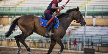 Cavaliere di Fraporta alle prove