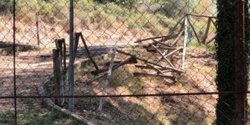 PARTE DELLA STACCIONATA SRADICATA