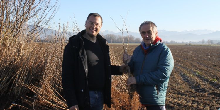 Riccardo Zenoni consegna ad un rappresentante dell'Associazione Vicolo Belvedere la piantine di nocciola