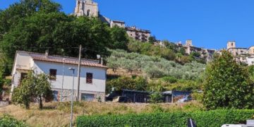 L'uliveto sotto la chiesa di Sant'Agostino