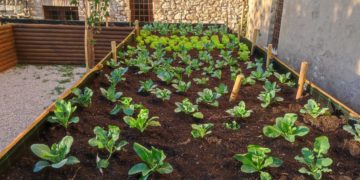 Una vasca dell'orto botanico