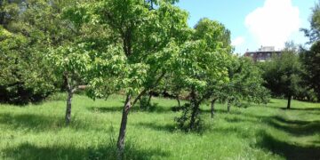 Parco Pubblico di Narni Scalo