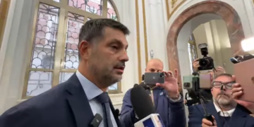 DIMITRI MENECALI