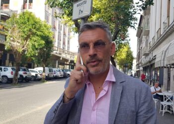 PIERLUIGI SPINELLI