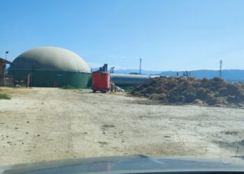 Azienda agricola Ruffo